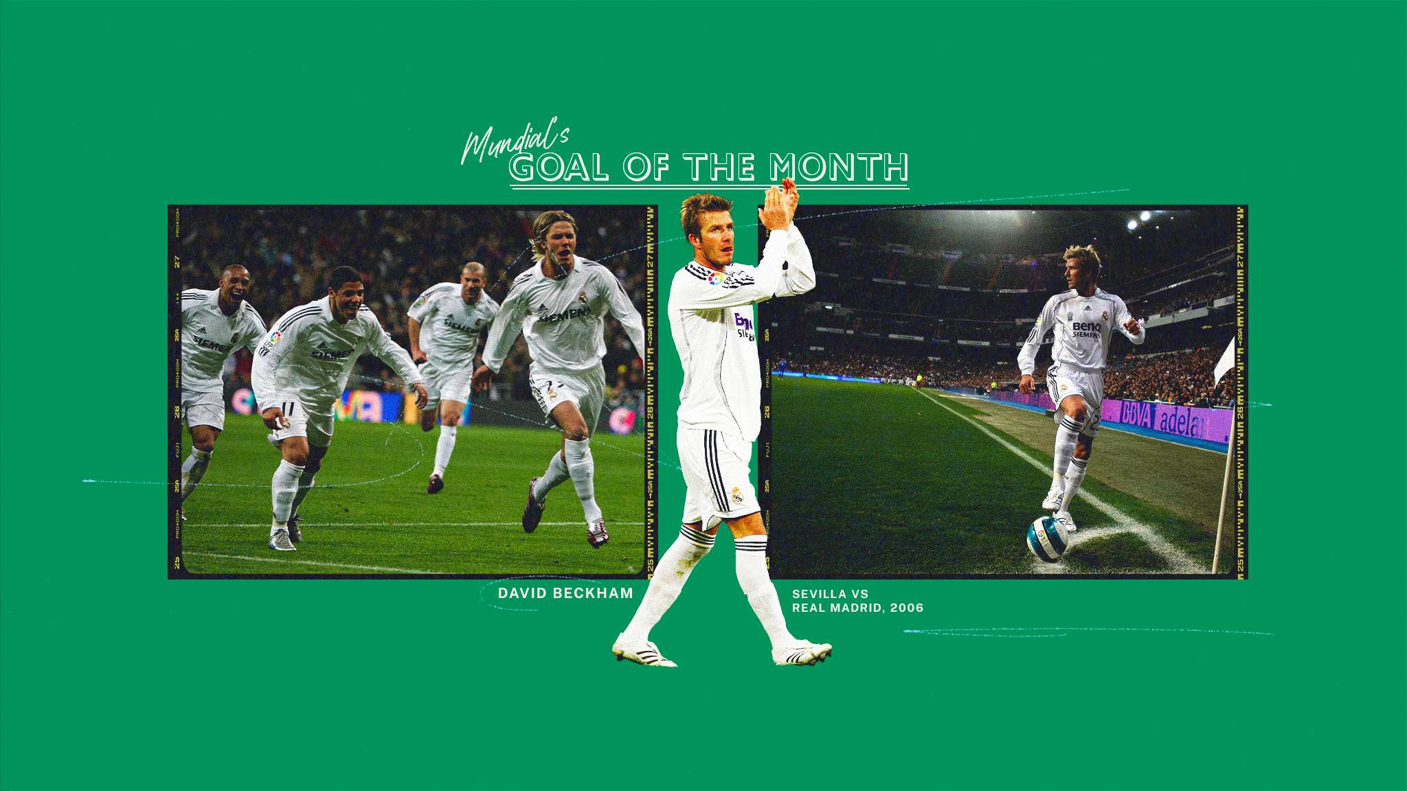 更加从容自 更加从容自